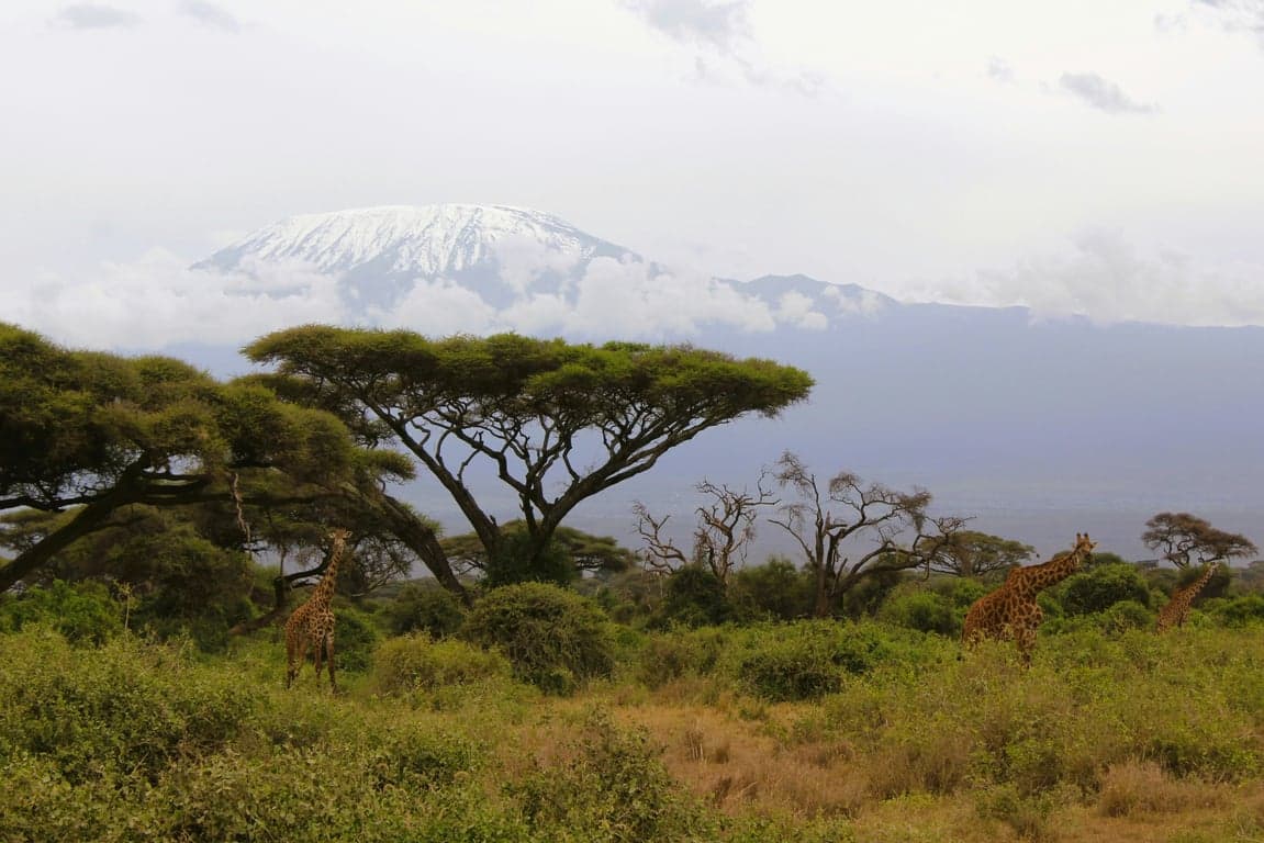 Arusha National Park